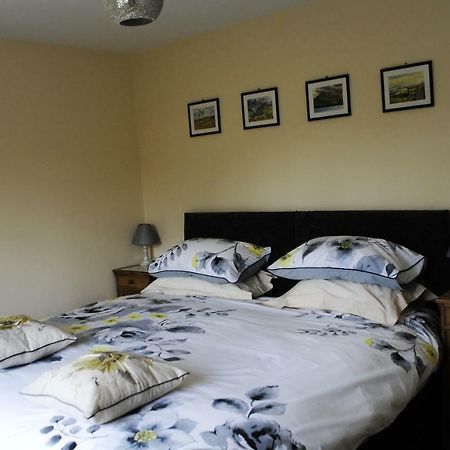 Bed and Breakfast Bro Dafydd Aberystwyth Exteriér fotografie