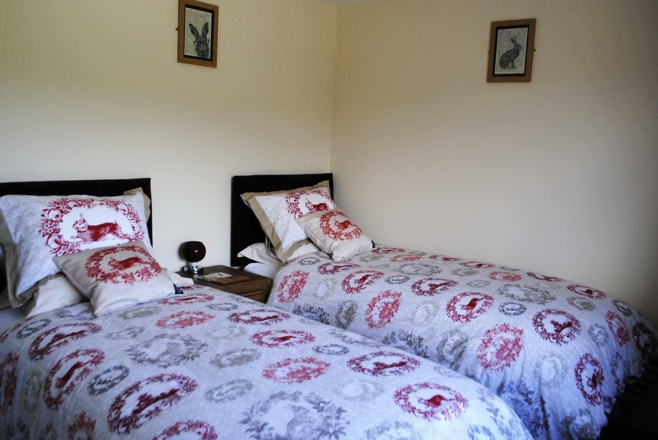 Bed and Breakfast Bro Dafydd Aberystwyth Exteriér fotografie