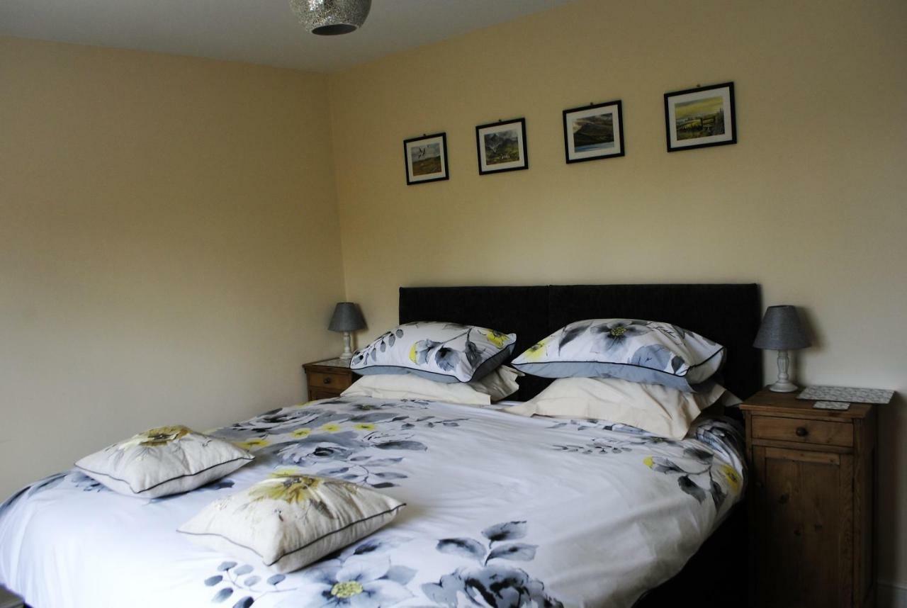 Bed and Breakfast Bro Dafydd Aberystwyth Exteriér fotografie