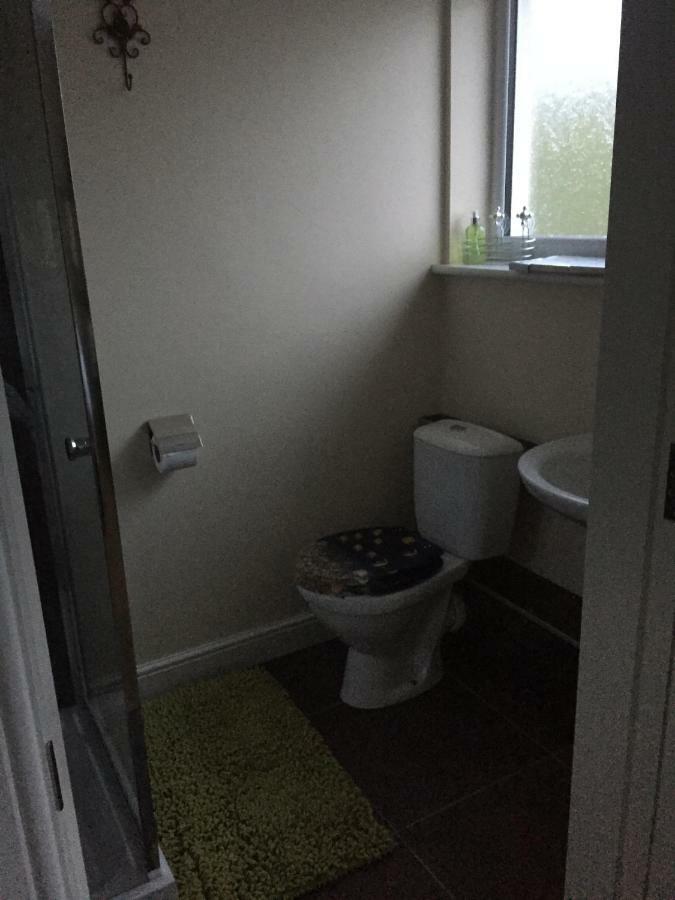 Bed and Breakfast Bro Dafydd Aberystwyth Exteriér fotografie