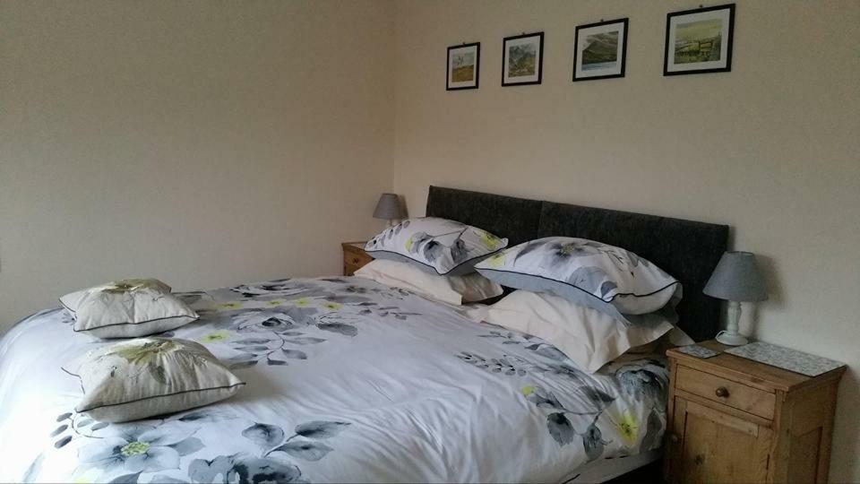 Bed and Breakfast Bro Dafydd Aberystwyth Exteriér fotografie